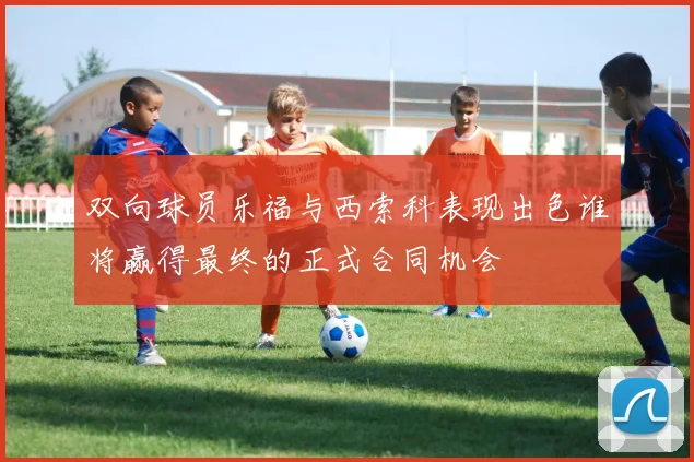 双向球员乐福与西索科表现出色谁将赢得最终的正式合同机会