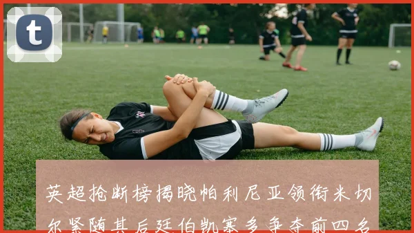 英超抢断榜揭晓帕利尼亚领衔米切尔紧随其后廷伯凯塞多争夺前四名