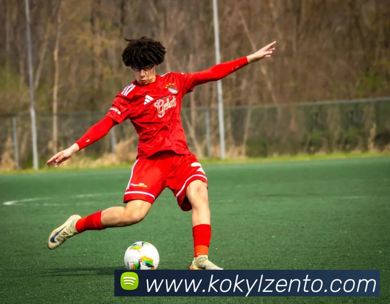 多媒体互动体验